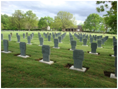 2015 Friedensprojekt Friedhof